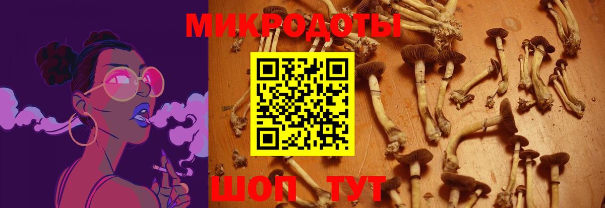Псилоцибиновые грибы мицелий  Вход с VPN  Галлюциногенные грибы Magic Shrooms  Кирово-Чепецк 